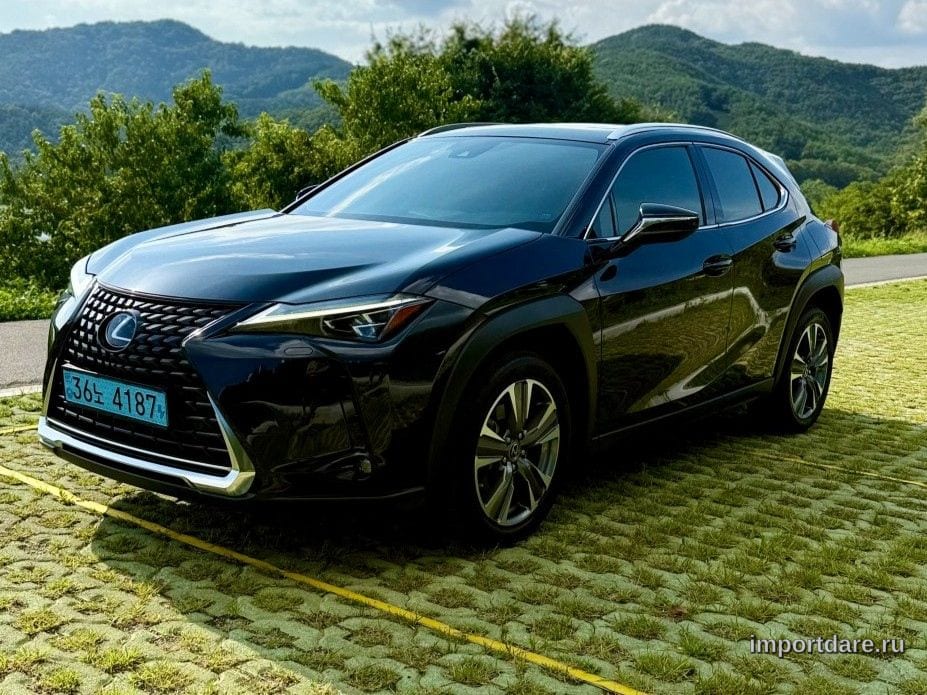 Lexus UX300e 2022