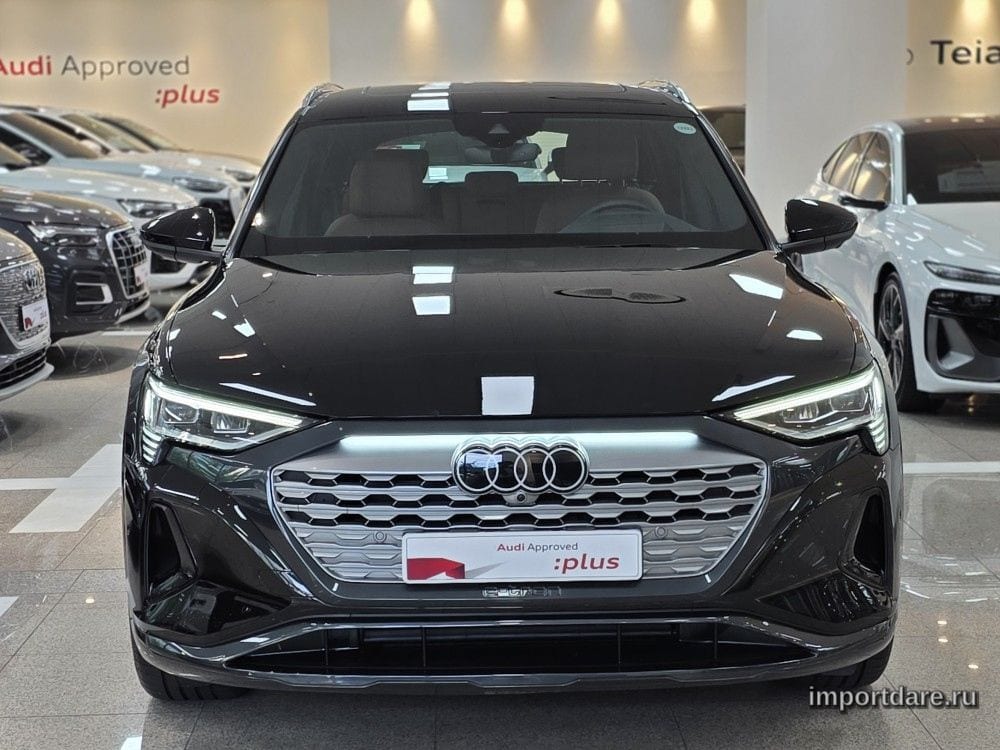 Audi Q8 E-Tron Ge сбоку