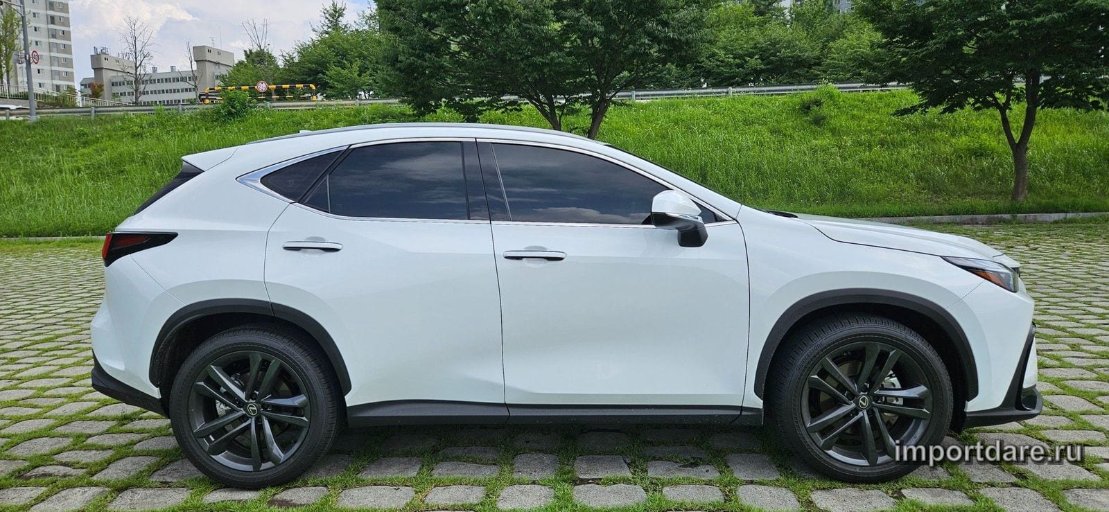 Lexus Nx сзади