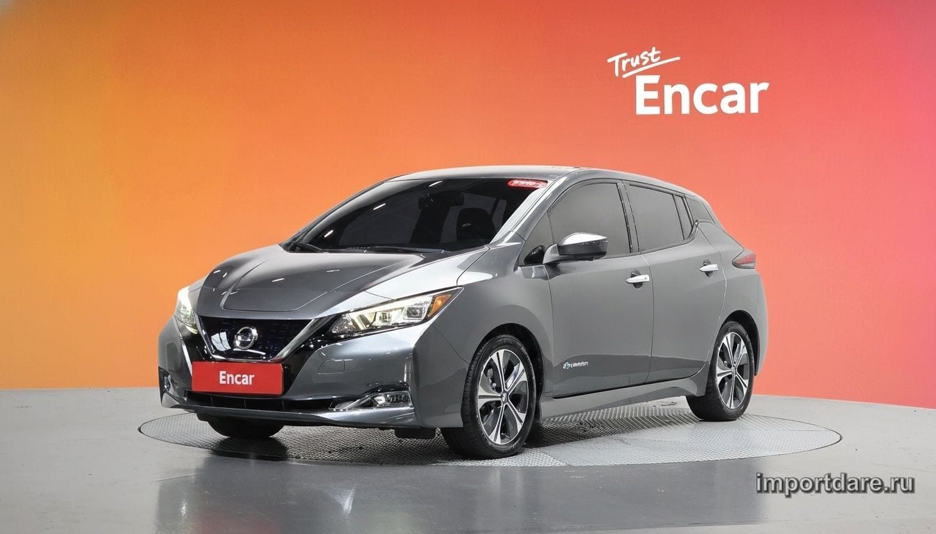 Nissan Leaf 2019