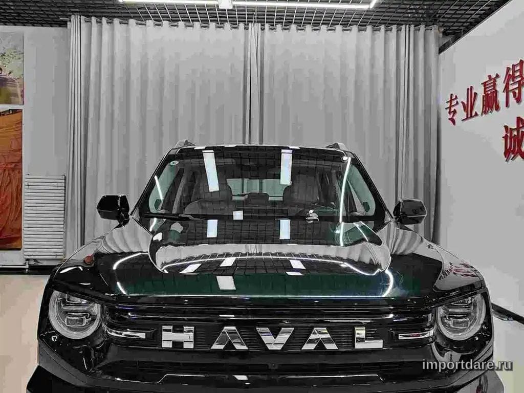 Haval Dagou Ii сбоку