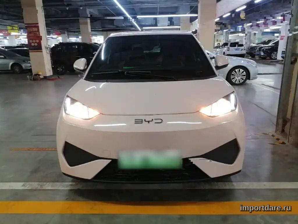 Byd Seagull детали