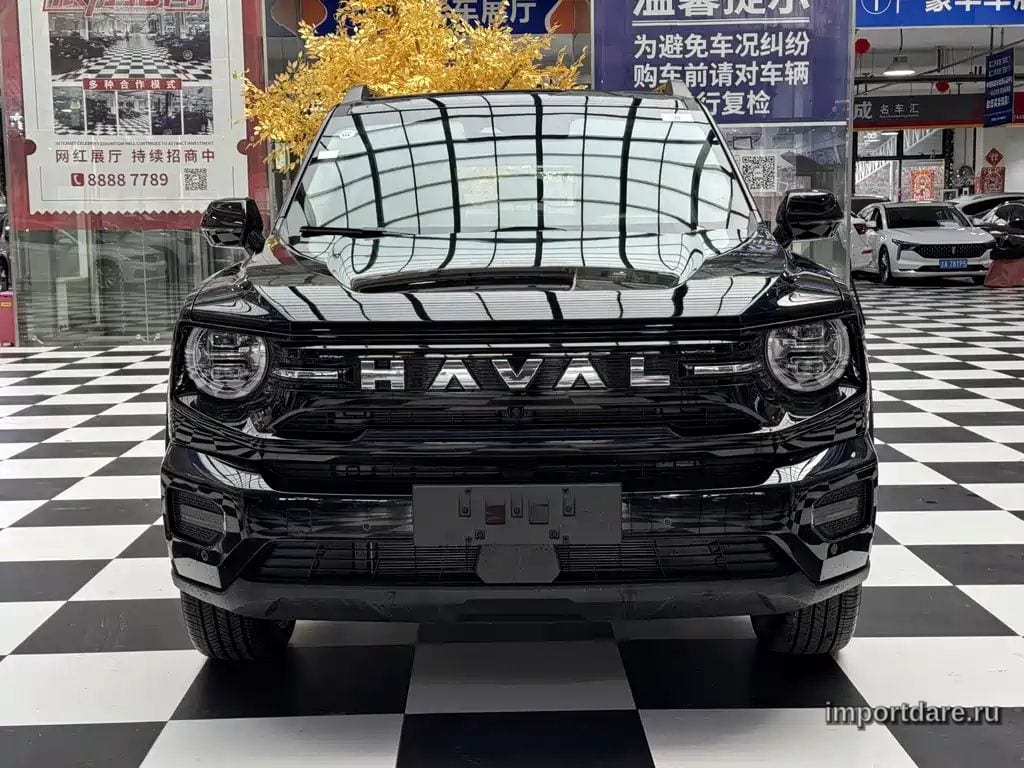 Haval Dagou Ii New Energy сбоку