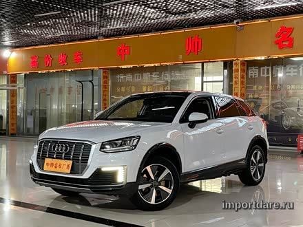 Audi Q2L e-tron 2019