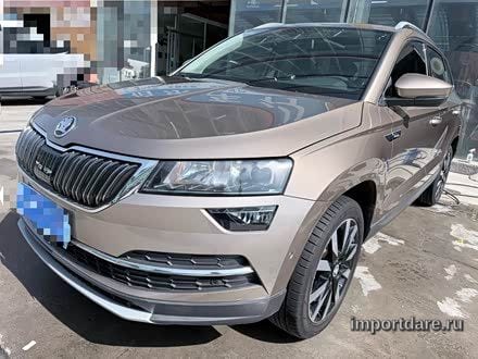 Skoda Karoq сзади