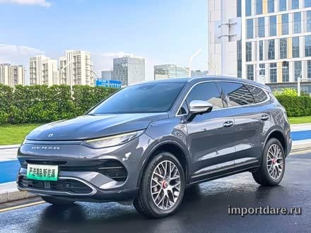 Denza X 2020