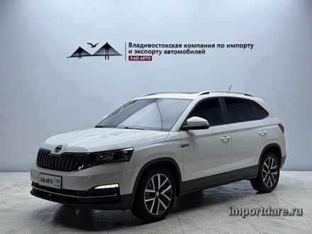Skoda Kamiq сзади