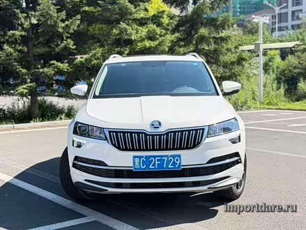 Skoda Karoq 2022