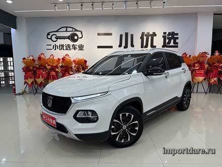 Baojun 510 спереди