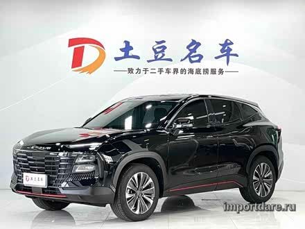 Jetour Dashengs интерьер