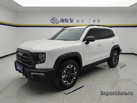 Haval Dargo детали