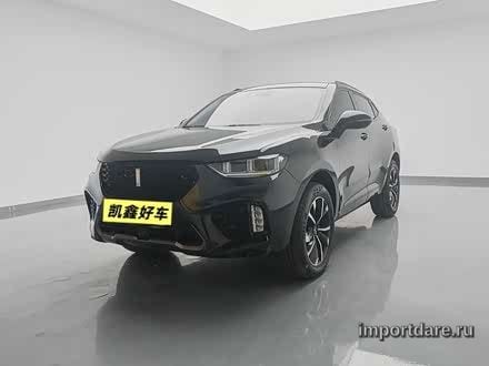 Wey Vv5 сзади