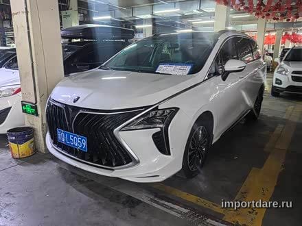 Dongfeng Forthing сзади