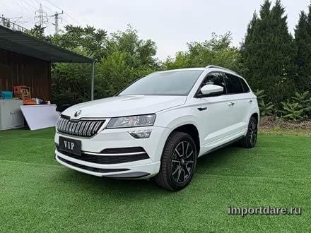 Skoda Karoq спереди