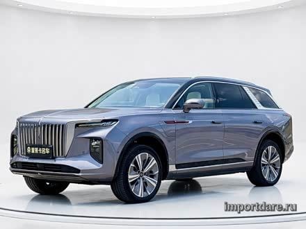 Hongqi E-Hs9 детали