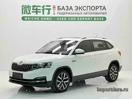Skoda Kamiq 2022