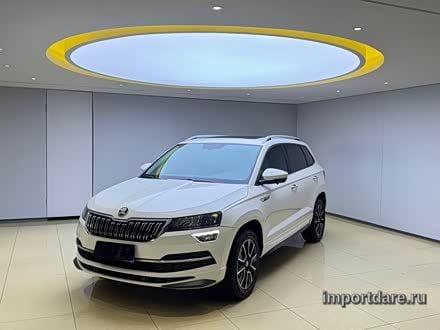 Skoda Karoq детали