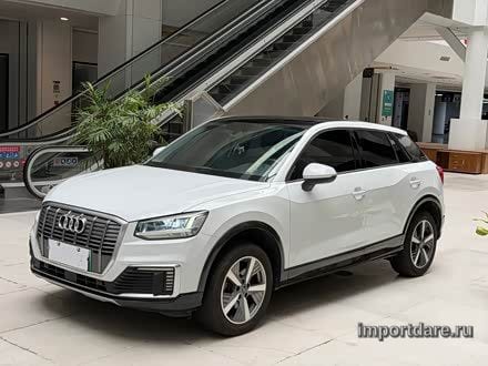 Audi Q2L e-tron 2019