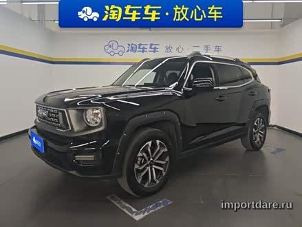 Haval Dargo Plus сзади