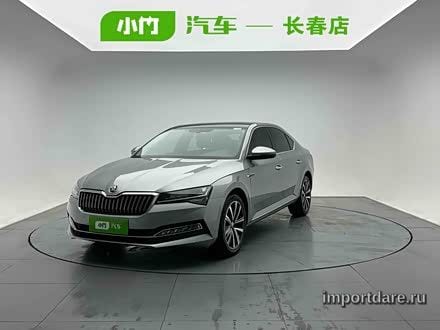 Skoda Superb сзади