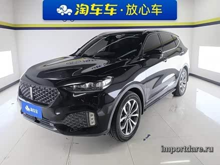 Wey Vv6 интерьер