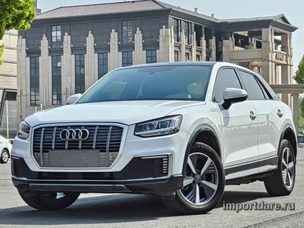 Audi Q2L e-tron 2019