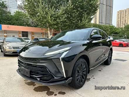 Dongfeng Forthing T5 Evo сзади