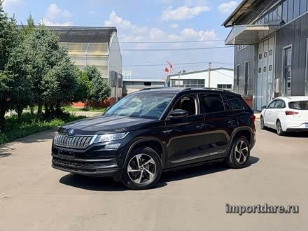 Skoda Kodiaq детали