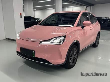 NETA V 2022