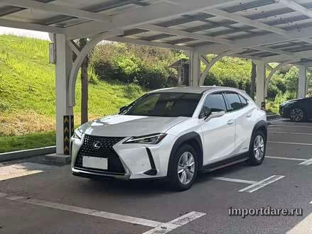 LEXUS UX 2020 — 94 000 км, Китай — под ключ — фото 1