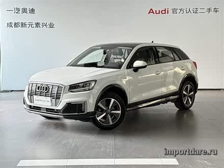 Audi Q2L e-tron 2019