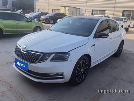 SKODA OCTAVIA 2019 — 103 400 км, Китай — под ключ — фото 1