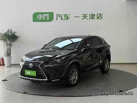 LEXUS NX 2020 — 73 000 км, Китай — под ключ — фото 1