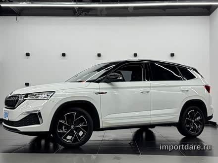 Skoda Kamiq сзади