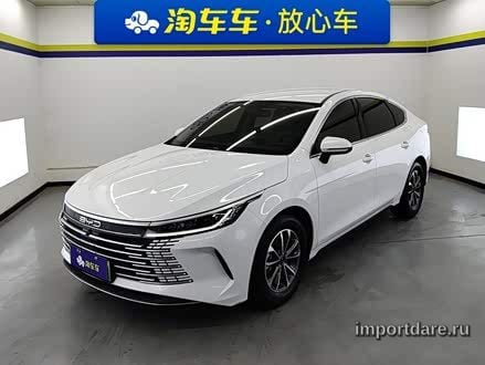BYD Destroyer 05 2024