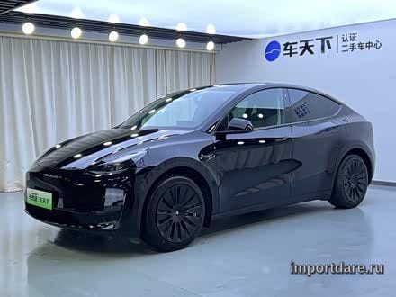 TESLA MODEL Y 2022 — 56 000 км, Китай — под ключ — фото 1