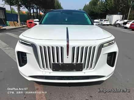 Hongqi E-HS9 2021