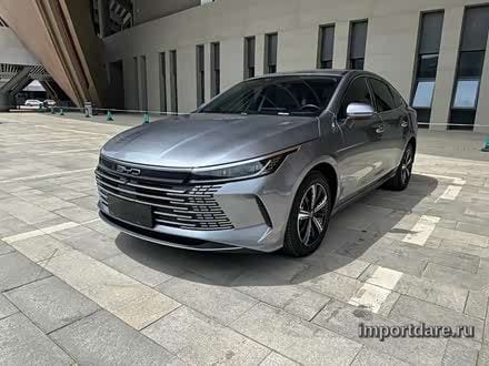 BYD Destroyer сзади