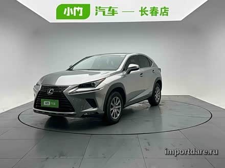 LEXUS NX 2020 — 21 000 км, Китай — под ключ — фото 1