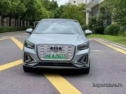 Audi Q2L e-tron 2022