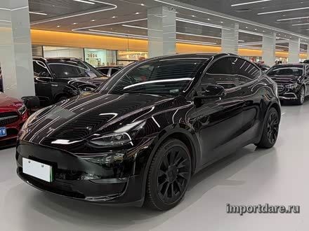 TESLA MODEL Y 2021 — 80 000 км, Китай — под ключ — фото 1