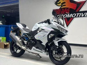 Kawasaki Ninja сзади