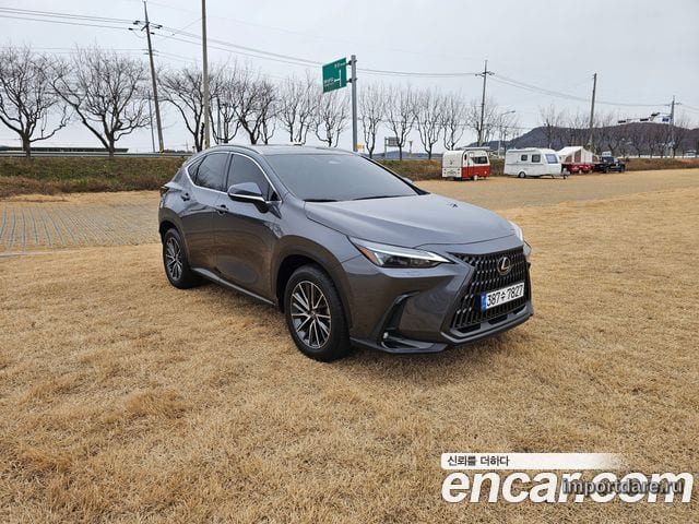 LEXUS NX450H+ 2024 — 23 572 км, серый, Корея — под ключ — фото 1