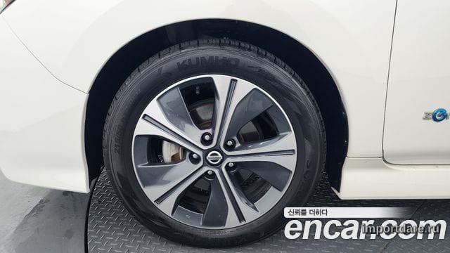 Nissan Leaf детали