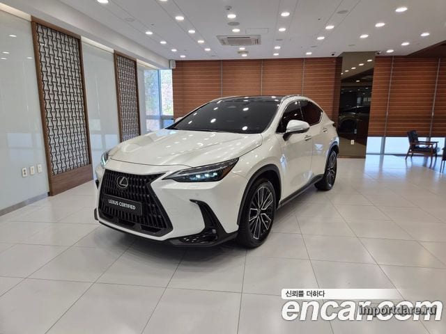 LEXUS NX350H 2024 — 55 273 км, белый-перламутр, Корея — под ключ — фото 1