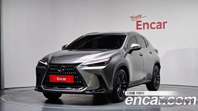 LEXUS NX350H 2025 — 3 361 км, серебристо-серый, Корея — под ключ — фото 1