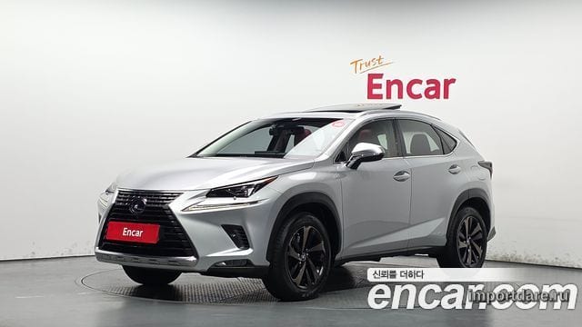 LEXUS NX300H 2019 — 99 544 км, серебристый, Корея — под ключ — фото 1