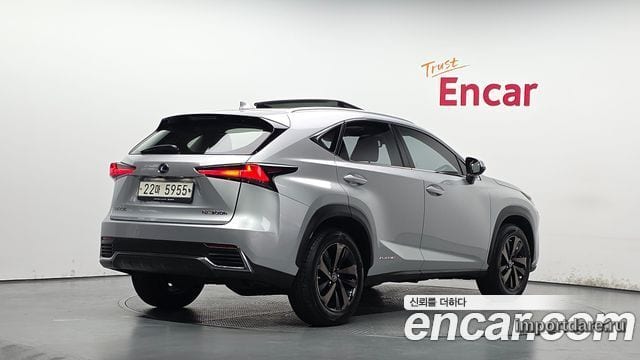 LEXUS NX300H 2019 — 99 544 км, серебристый, Корея — под ключ — фото 2