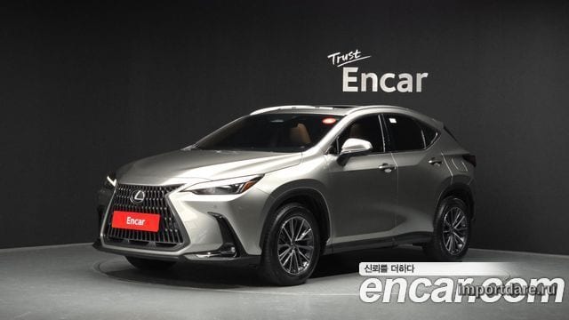 LEXUS NX450H+ 2024 — 80 065 км, серебристо-серый, Корея — под ключ — фото 1