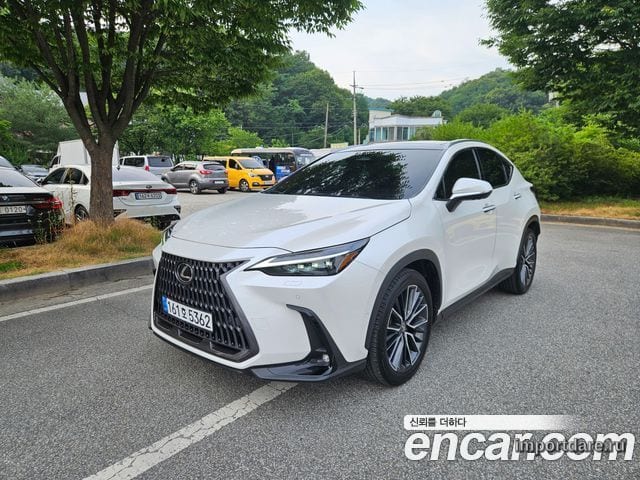 LEXUS NX350H 2024 — 18 462 км, белый, Корея — под ключ — фото 1